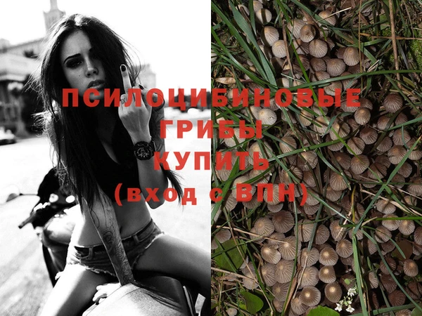 тгк Пролетарск