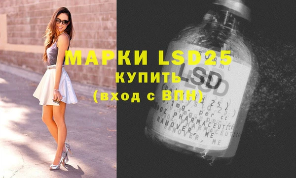 стафф Аркадак