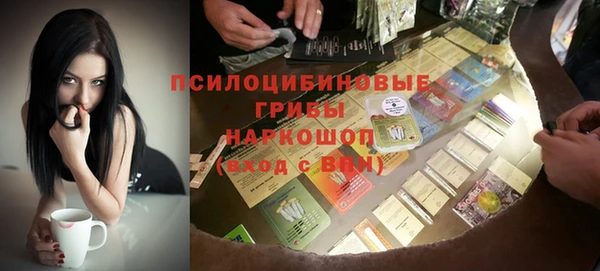 стафф Аркадак